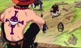 赤犬元帅爆料视频